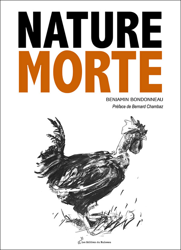 Benjamin Bondonneau : Nature Morte